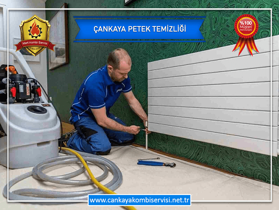 Çankaya Petek Temizleme